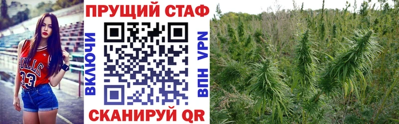 A-PVP Кирс