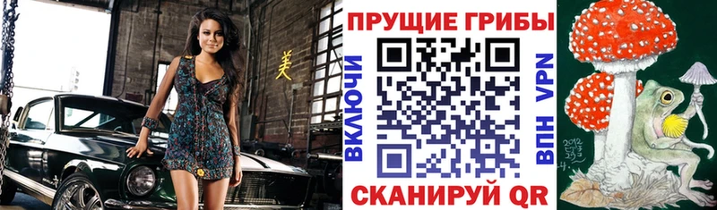 ссылка на мегу ТОР  Кирс  это клад  Псилоцибиновые грибы прущие грибы 